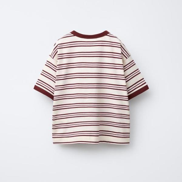 TIMELESS - STRIPED T-SHIRT WITH CONTRAST TRIMS