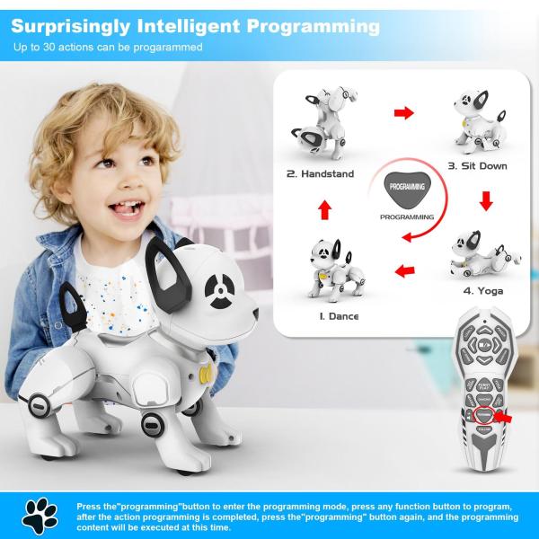 Remote Control Robot Dog Toy