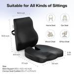 Orthopedic Back Support & Coccyx Seat Cushion Combo